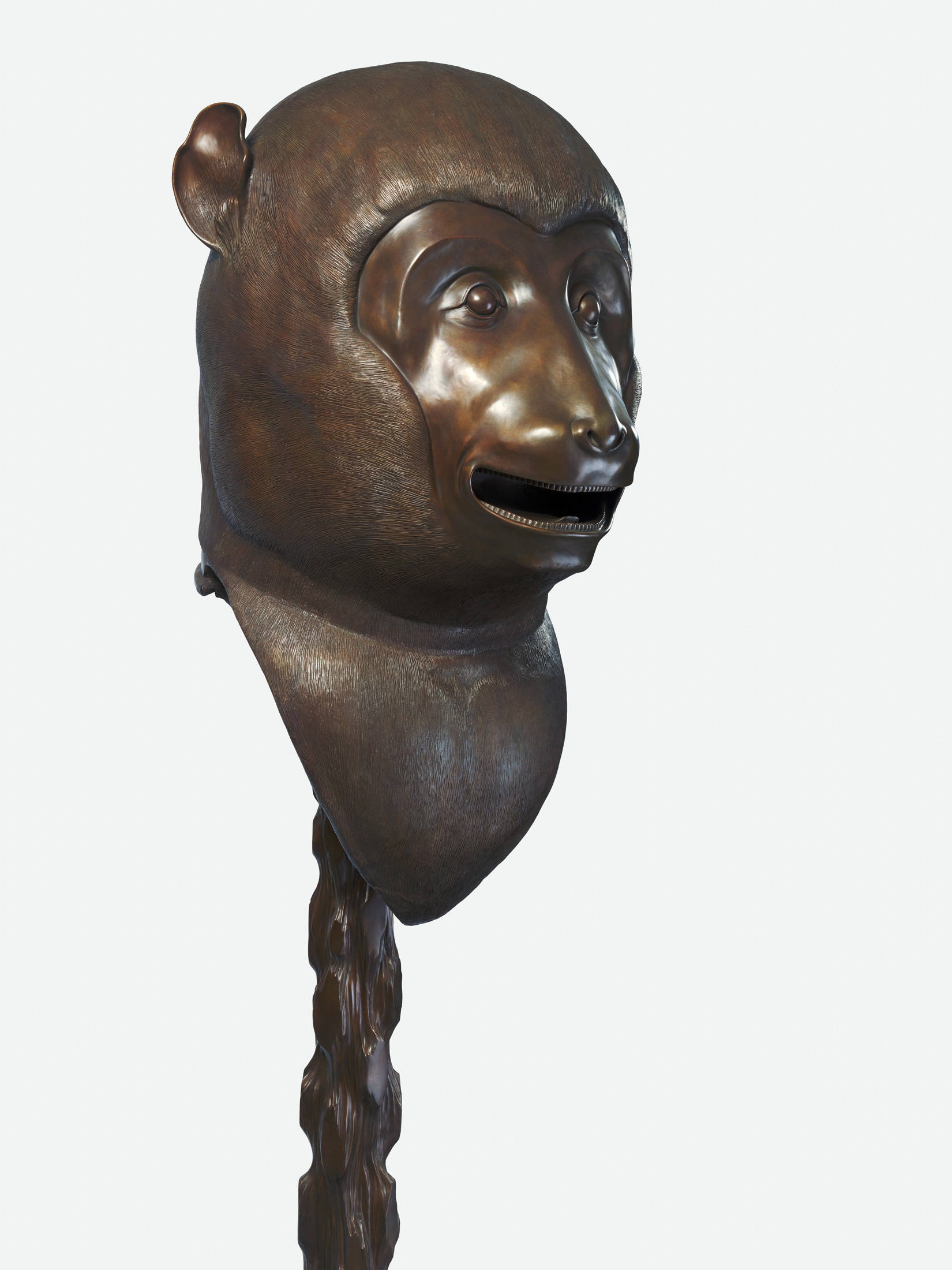 Wei Wei Zodiac Wei Wei Zodiac