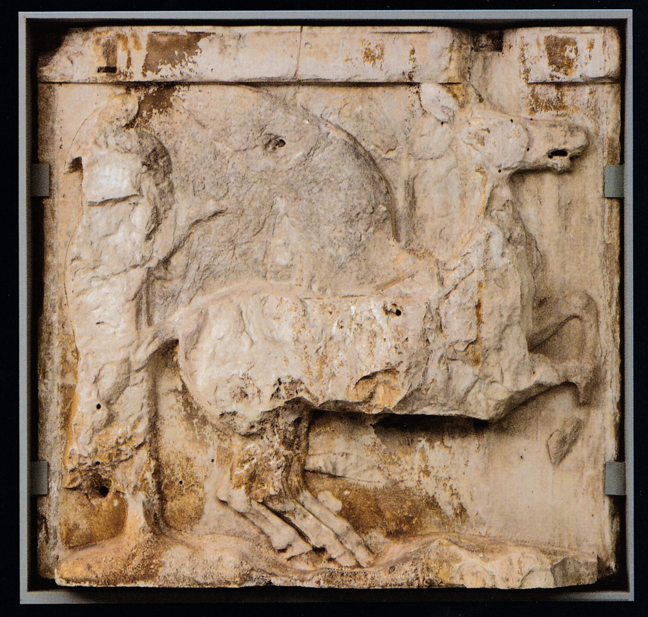 Metopa del Partenón