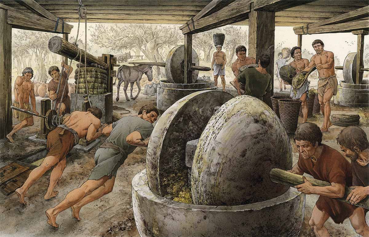 Factoría de aceite